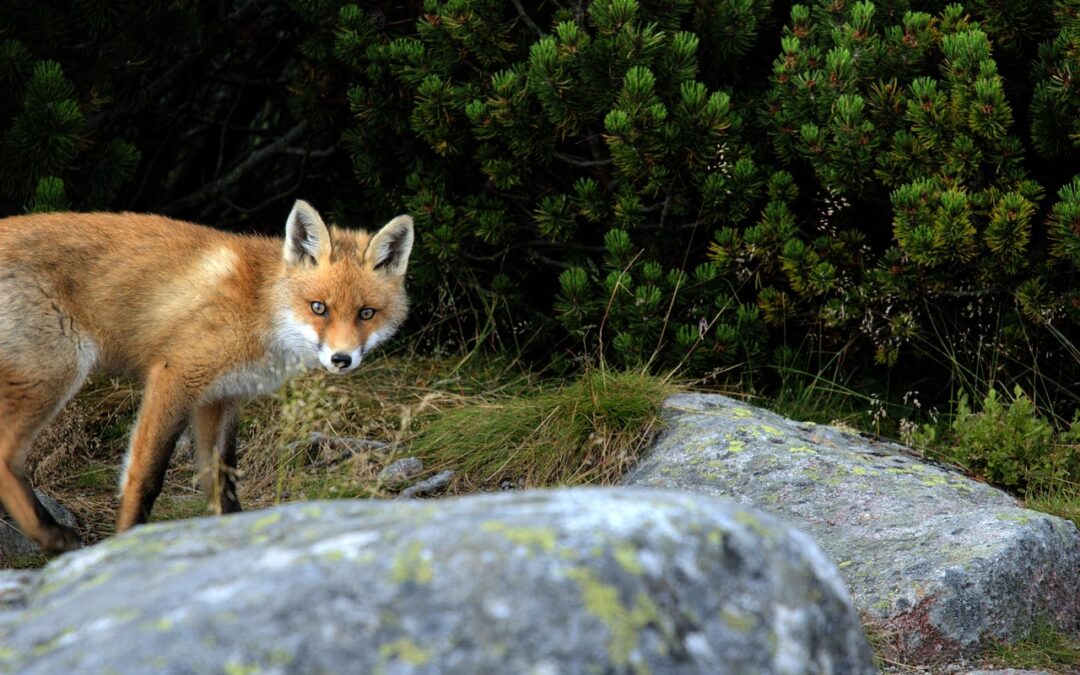 Tatry poza szlakiem – mniej znane miejsca warte odkrycia