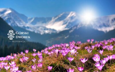 Zakopane w Boże Ciało 2026 – polecane atrakcje na długi weekend